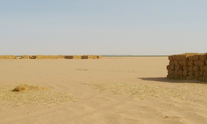 Agriculture Complex, Wādiy Barjūj to the north