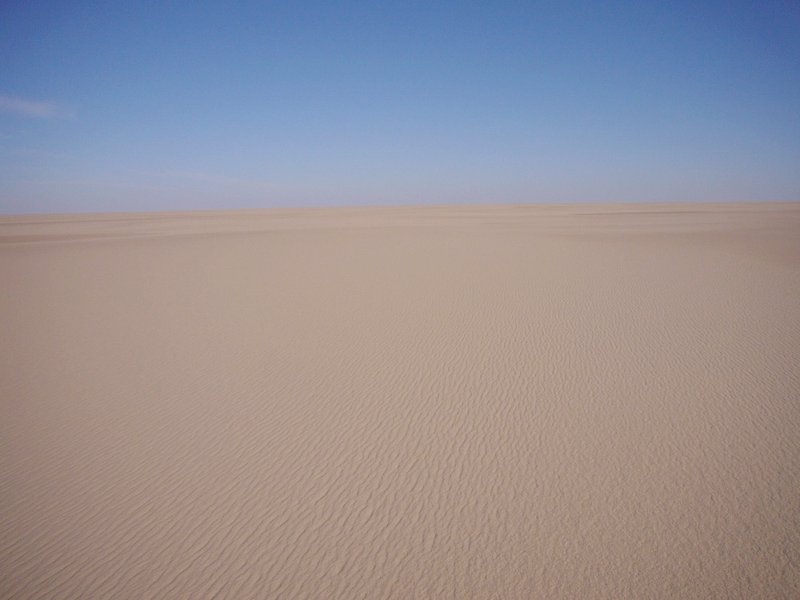 View from 100 m