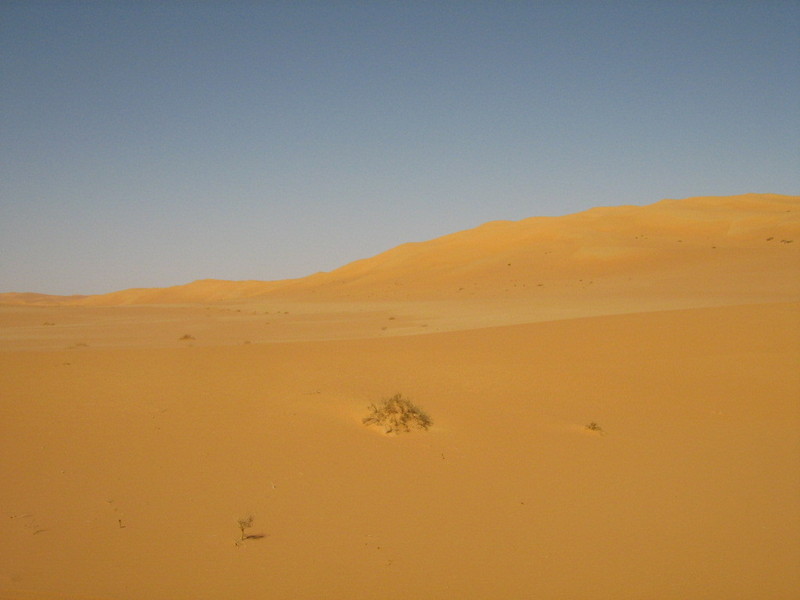 View to North