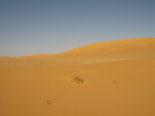 #1: View to North