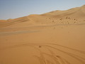 #3: View to South