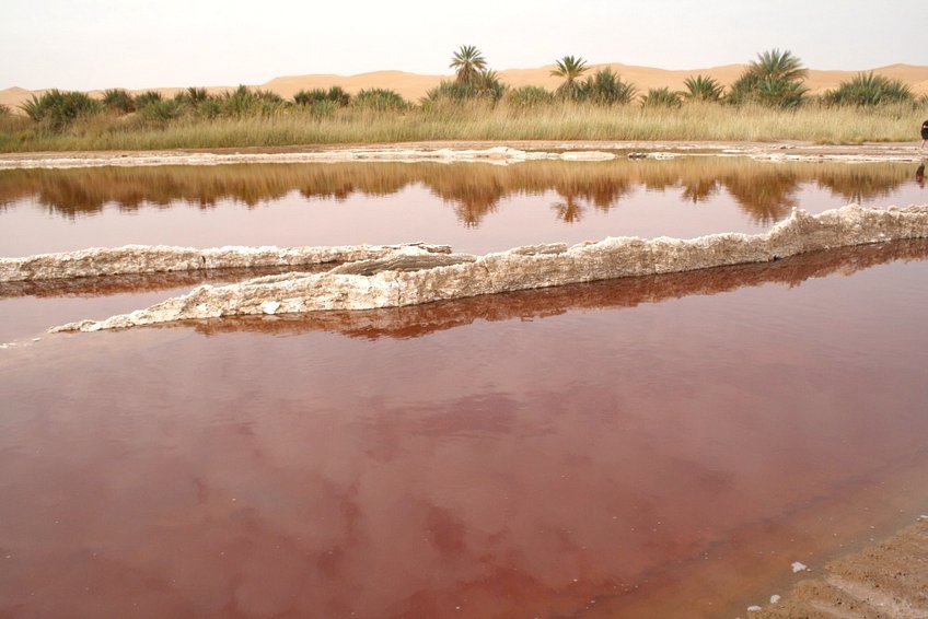 Lake Trouna - one of the lesser visited Mandara Lakes