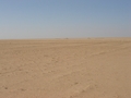 #4: West view