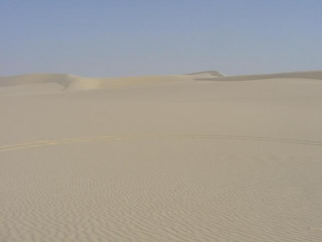 North View