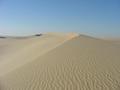 #4: South view