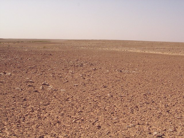 View North overlooking the confluence point