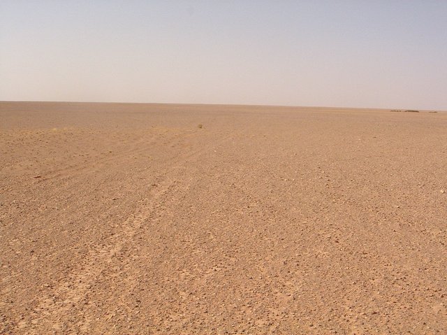 View south
