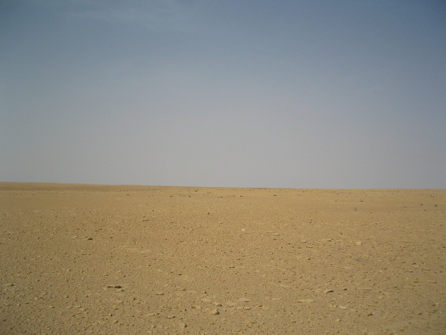 Looking South