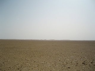 #1: General view