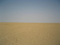 #5: Looking West