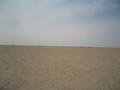 #4: View to South