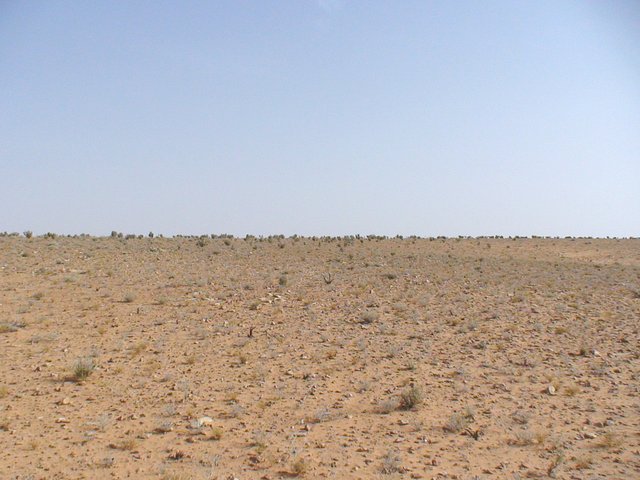 View North