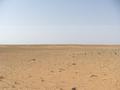 #4: View South