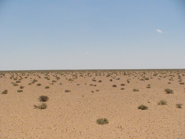 View south