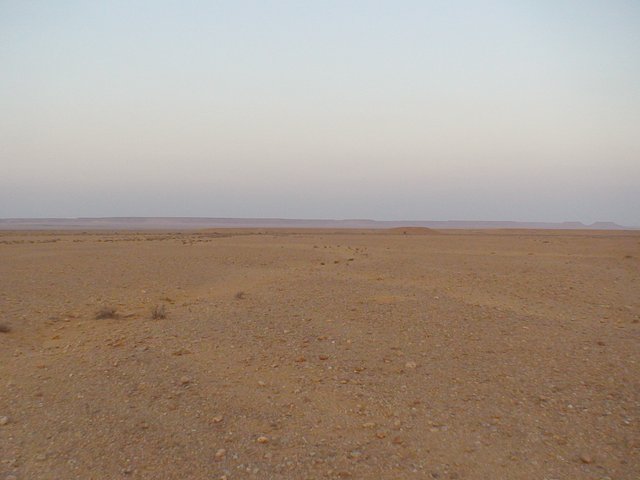 View east