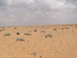 #1: General view of Confluence 31N 16E, cross in the foreground marking the spot