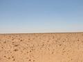 #3: The view South