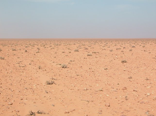 Looking North