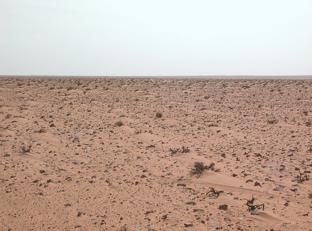 Looking South