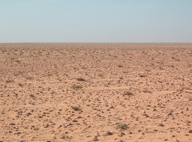Looking West