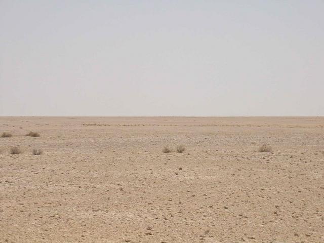 View to the East