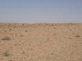 #4: View South