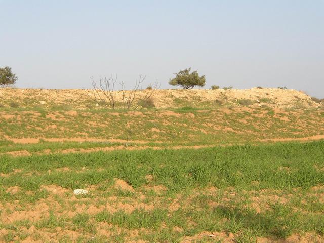 View from Confluence to the east