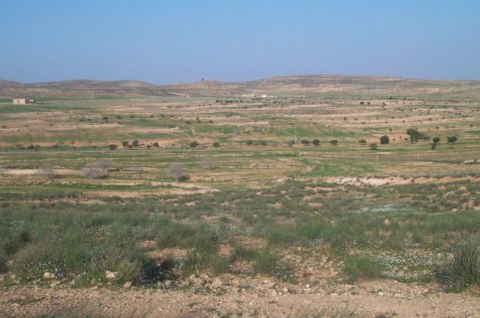 View from 500 m away towards the Confluence in NE direction