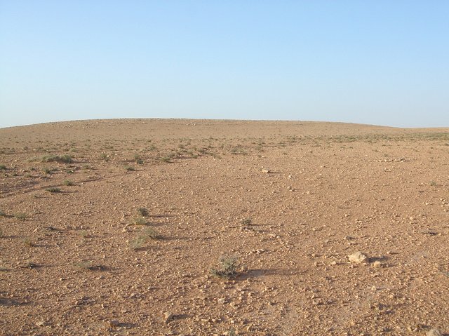 View North, Confluence point in foreground near rock