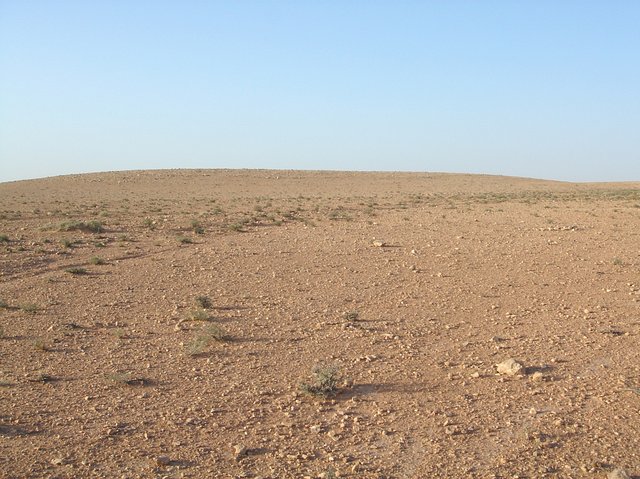 View North, Confluence point in foreground near rock