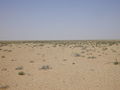 #4: West view