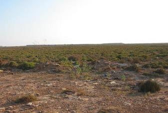 #1: General View of Confluence Area