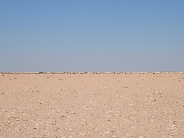 View East