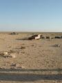 #3: Looking south from site over yet more debris