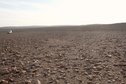 #5: View to West