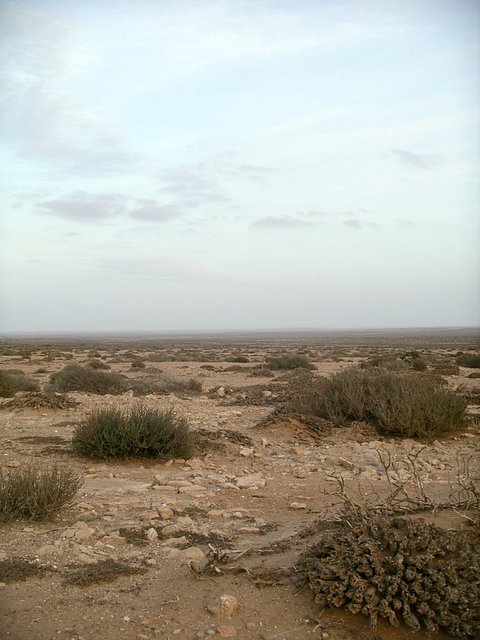 Afternoon at the Confluence, looking East
