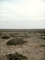 #3: Afternoon at the Confluence, looking South