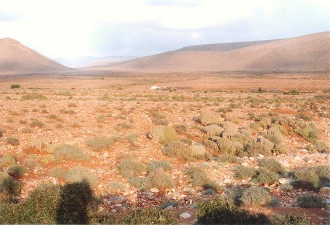 General view of Confluence area