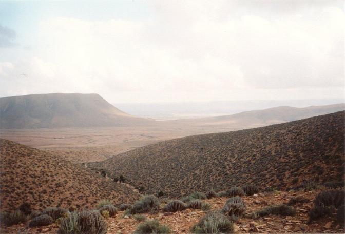 View from the hill chain towards SE, the Confluence lying 2 km away on the plain, close to a dark curved line approximately in the picture's centre.