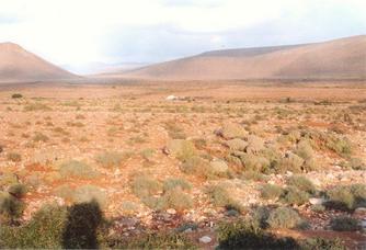 #1: General view of Confluence area