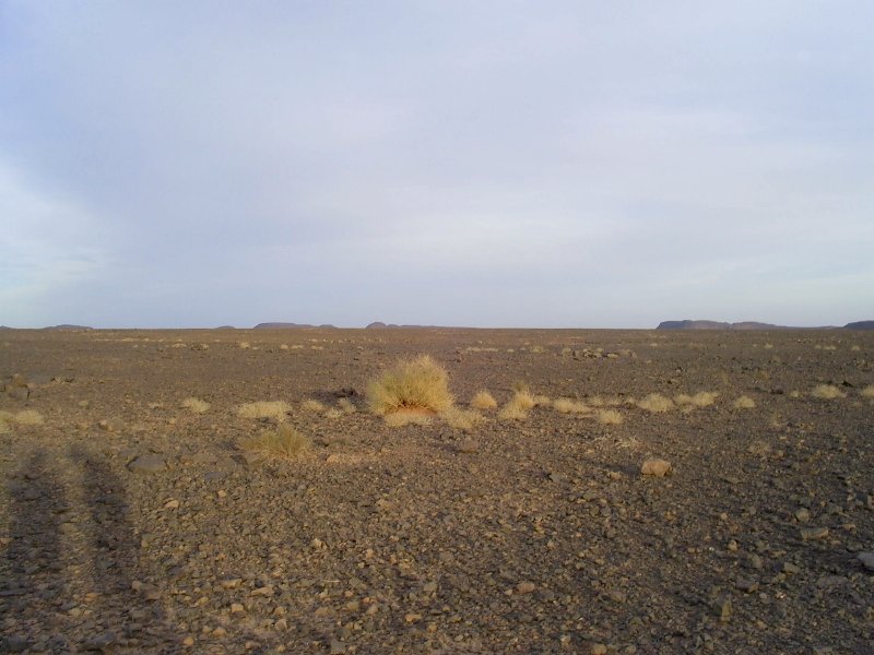 East from the Confluence