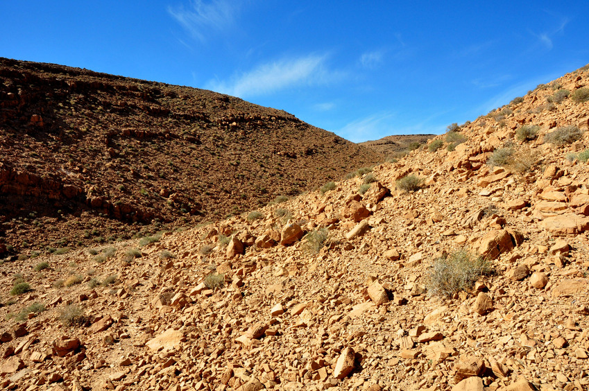 View toward West