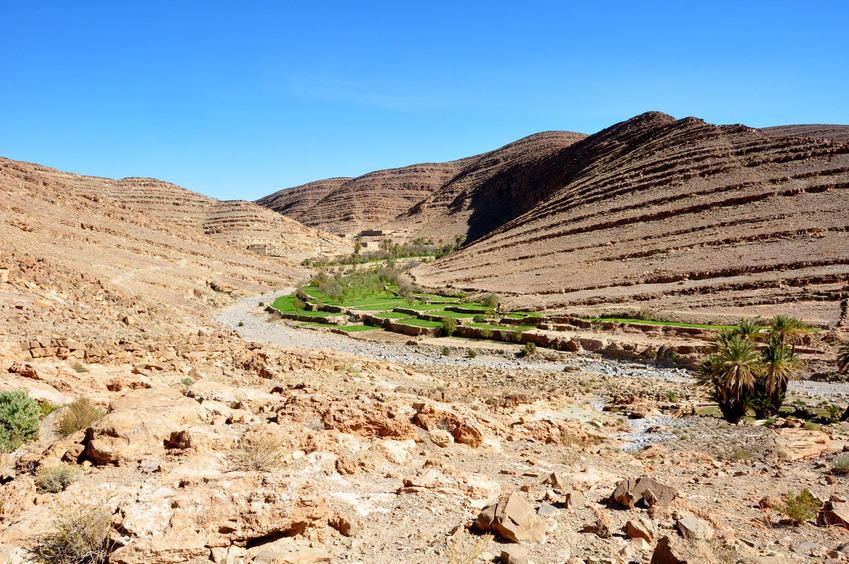 Terraced cultures in Rkoun