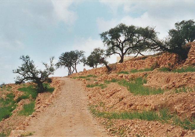 View towards north from Confluence. The white painted house of which a corner is visible on the picture is a very noticeable mark in the countryside from afar