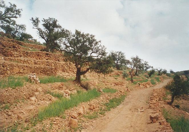 View towards south from Confluence