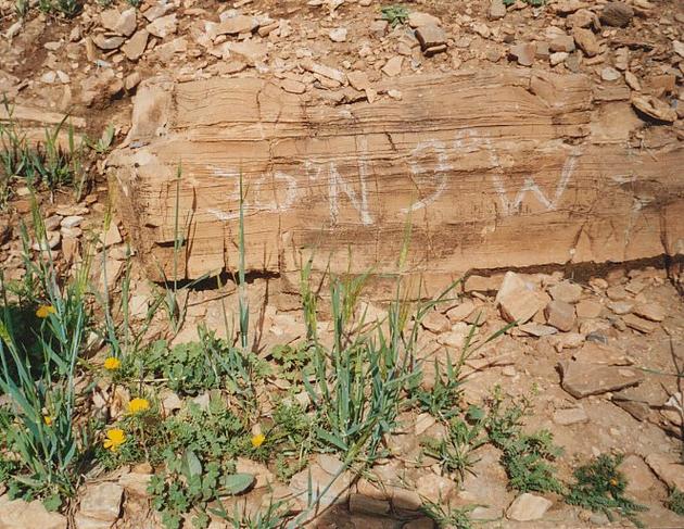 Graffito left on a roadside stone