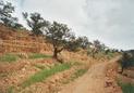 #4: View towards south from Confluence