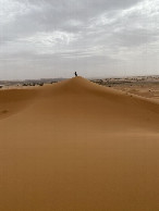 #9: Landschaft - Landscape