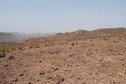 #4: West