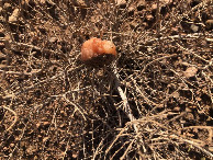 #6: Am CP - Close-up of the CP